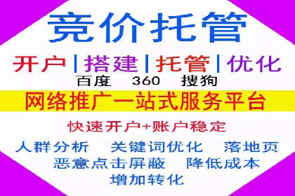 竞价代运营的案例研究：如何精准投放广告并获得回报